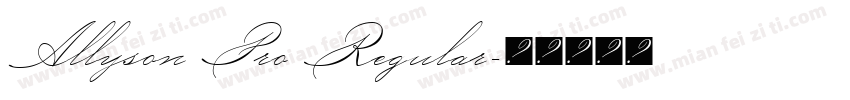 Allyson Pro Regular字体转换